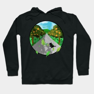 Circle Adventure (Be Confident with cat) Hoodie